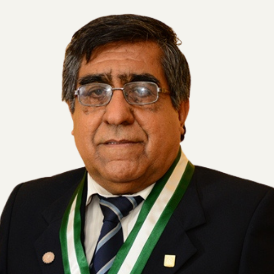 Dr. Ricardo Castañeda Cabanillas